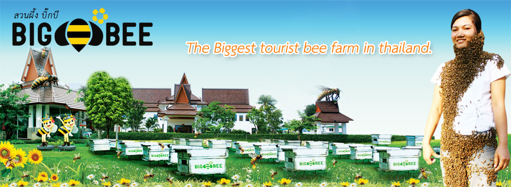 สวนผึ้งพีทยา Big Bee