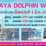 Pattaya Dolphin World